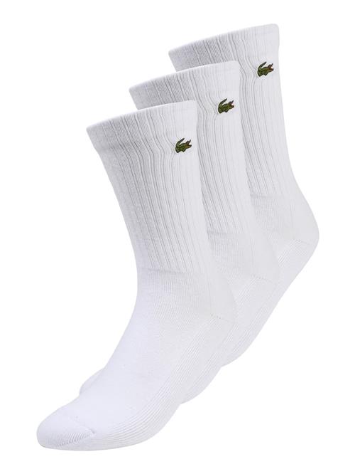 LACOSTE Sportssokker  lysegrøn / carminrød / hvid