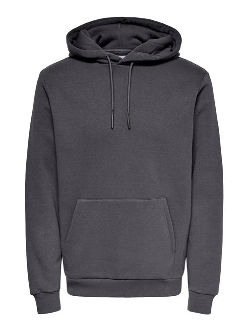 Only & Sons Sweatshirt 'ONSCeres'  mørkegrå