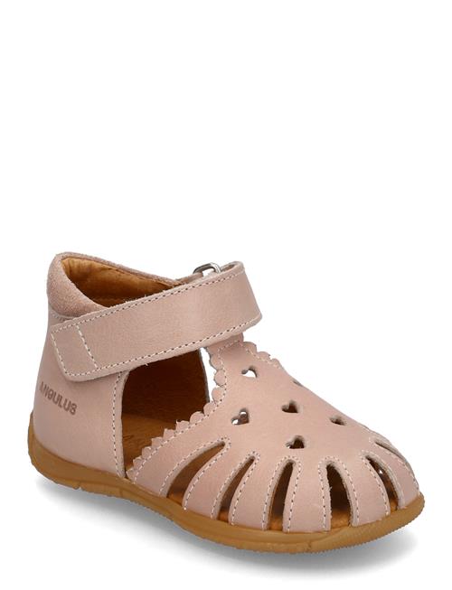 ANGULUS | Sandals - Flat  - Closed Toe | 23