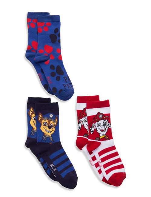 Paw Patrol | Socks | 31/34