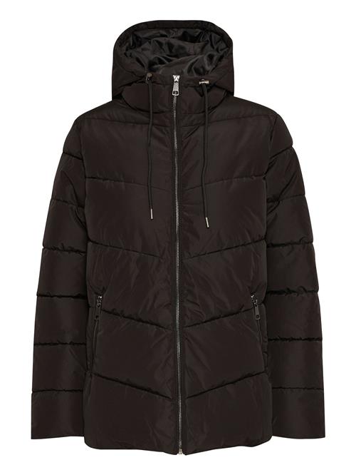 ICHI Vinterjakke ' IHZELANA JA '  sort