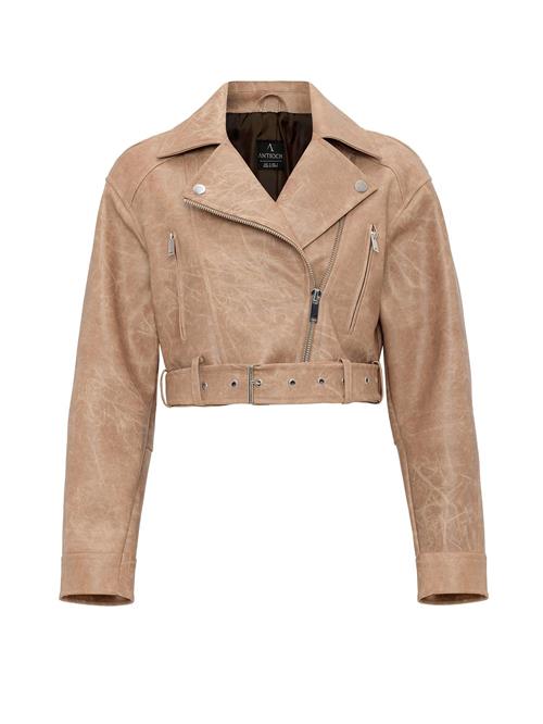 Antioch Overgangsjakke  camel