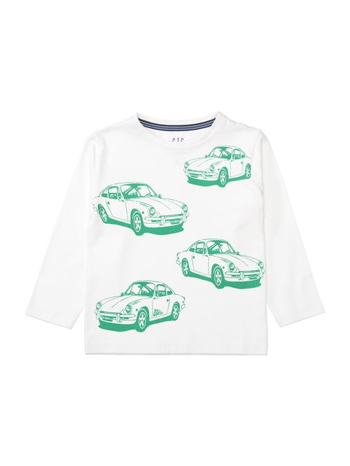 STACCATO Shirts  grøn / hvid