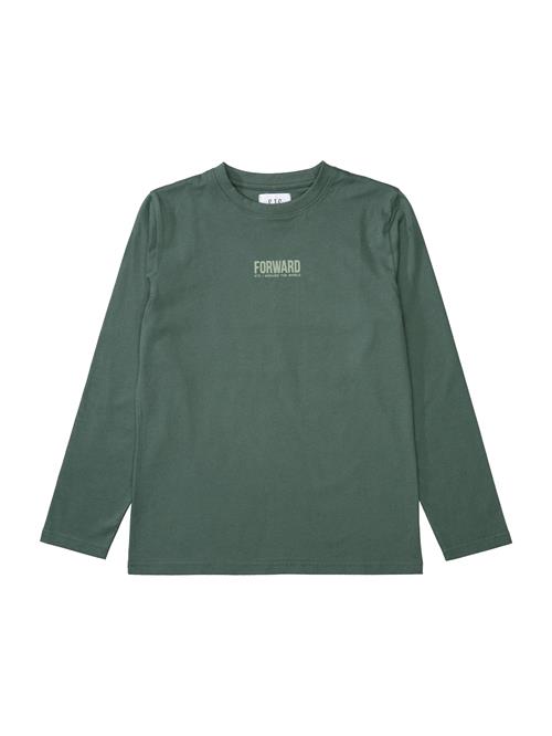 STACCATO Shirts  grøn / pastelgrøn / hvid