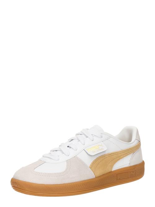 PUMA Sneaker low 'Palermo'  camel / stone / hvid