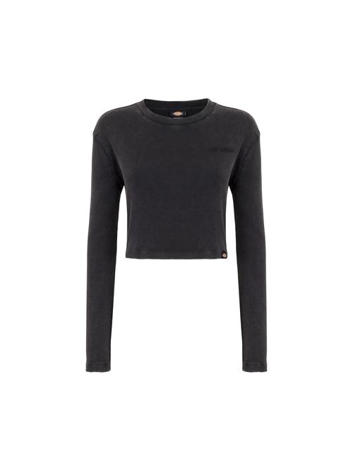 DICKIES Shirts 'PLENTYWOOD'  grå