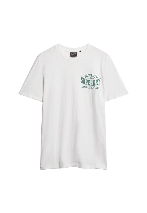 Superdry & Co Bluser & t-shirts  gran / hvid