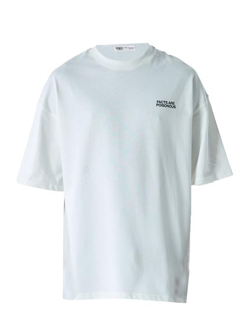 VAMOS CLO Bluser & t-shirts  lyseblå / grå / blandingsfarvet