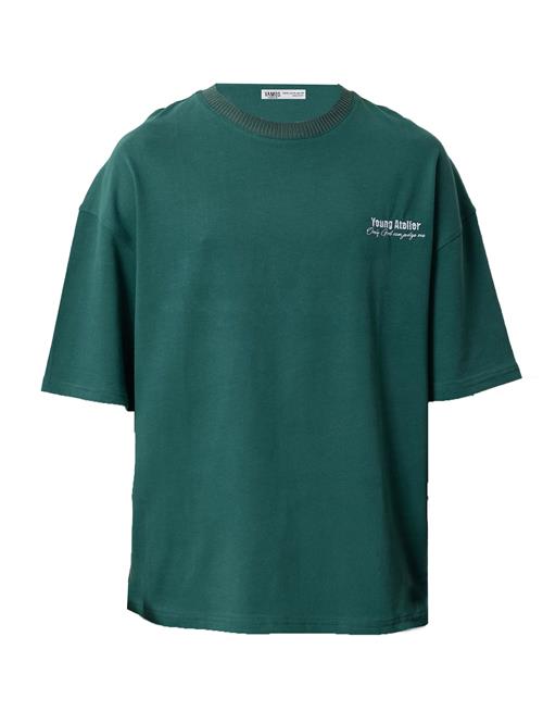 VAMOS CLO Bluser & t-shirts  grøn / hvid