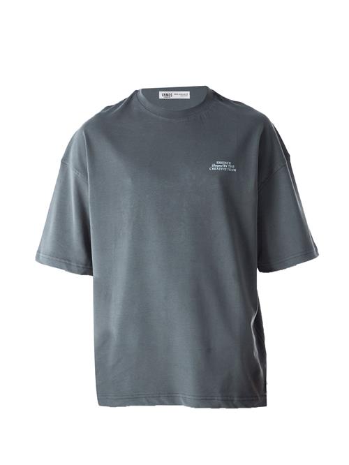 VAMOS CLO Bluser & t-shirts  grå / blandingsfarvet