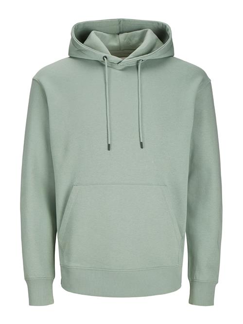 JACK & JONES Sweatshirt 'JJEStar'  pastelgrøn