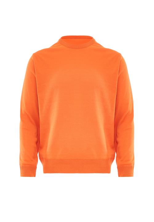 IPARO Pullover  orange