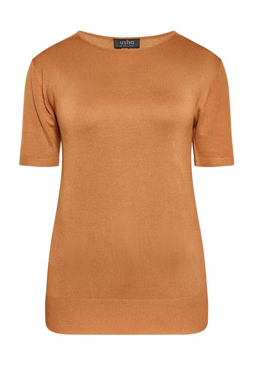 usha BLACK LABEL Pullover  camel