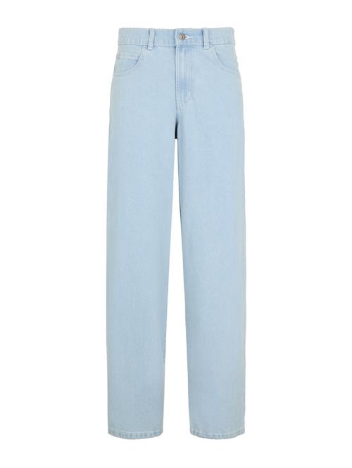 DICKIES Jeans 'HERNDON'  himmelblå
