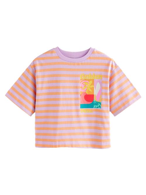 Next Bluser & t-shirts  blandingsfarvet