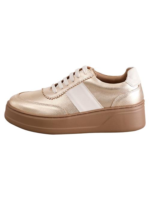 Next Sneaker low  beige / guld