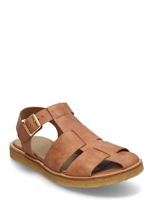 ANGULUS | Sandals - Flat  - Closed Toe - Op | 39.5