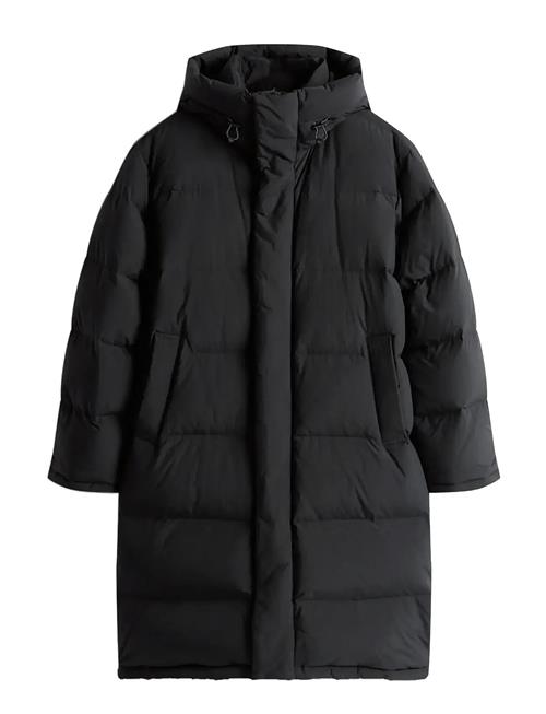 Tommy Jeans | Tjm Hooded Down Maxi Puffer | M