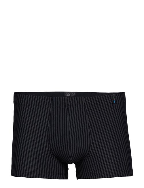 Schiesser | Low Rise Shorts | L