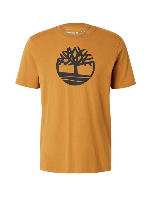 TIMBERLAND Bluser & t-shirts  karamel / lysebrun / mørkebrun