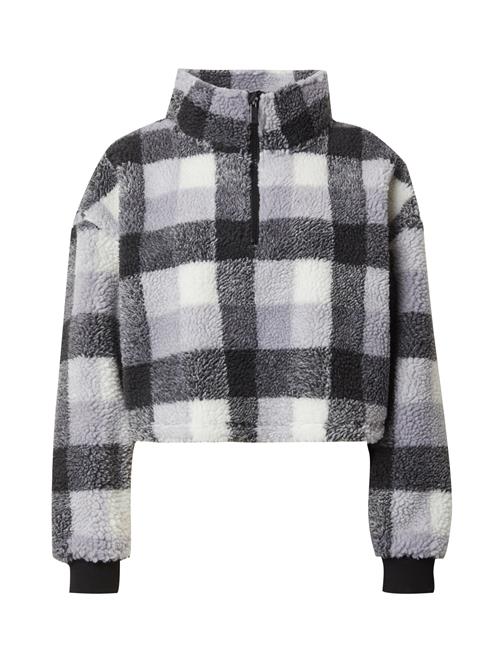 AÉROPOSTALE Pullover  lysegrå / sort / hvid