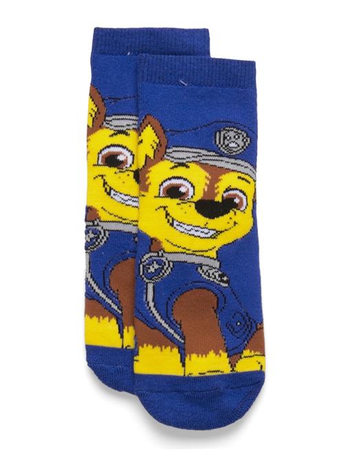 Paw Patrol | Socks | 31/34