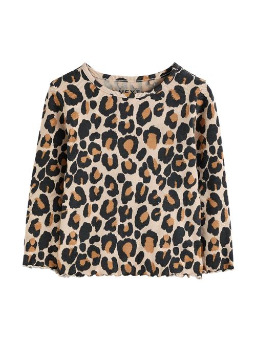 Next Bluser & t-shirts  brun / cappuccino / sort