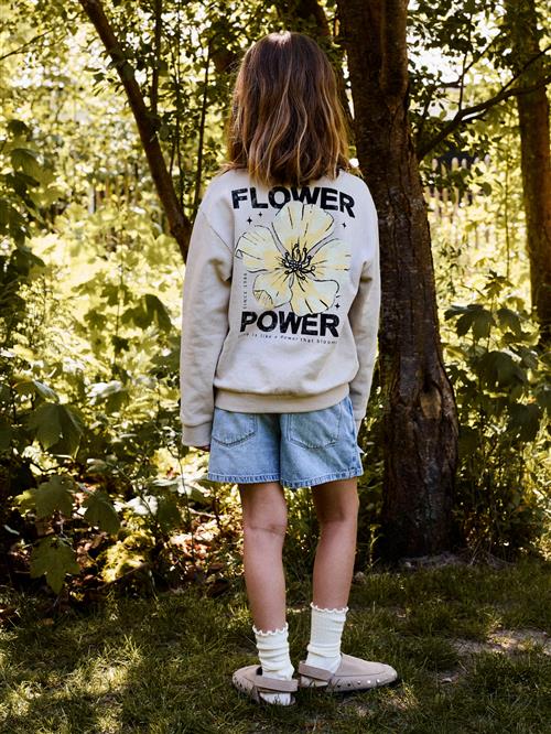 NAME IT Sweatshirt Difo Chateau Gray