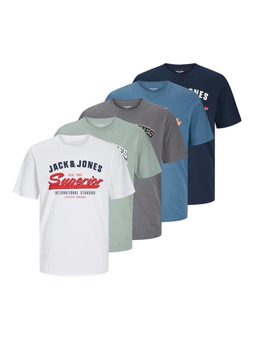 JACK & JONES Bluser & t-shirts  marin / grå / pastelgrøn / hvid