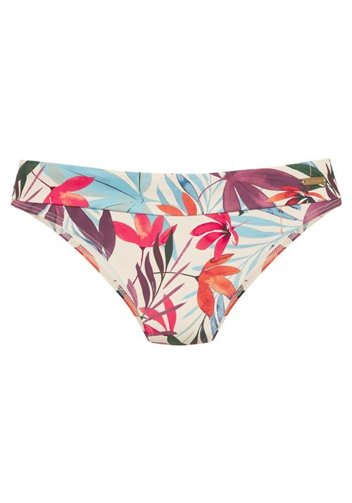 LASCANA Bikinitrusse  creme / lyseblå / aubergine / cranberry