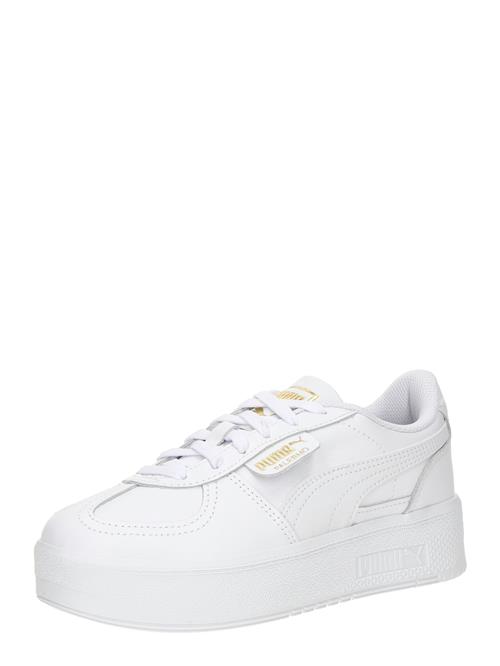 PUMA Sneaker low 'Palermo Elevata'  guld / hvid