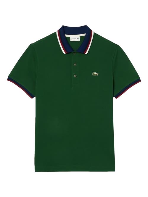 LACOSTE Bluser & t-shirts  navy / gran / hvid