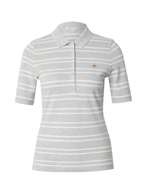 GANT Shirts  lysegrå / offwhite