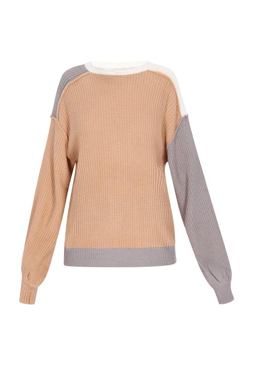 SANIKA Pullover 'Fashion Lover'  beige / mørkegrå