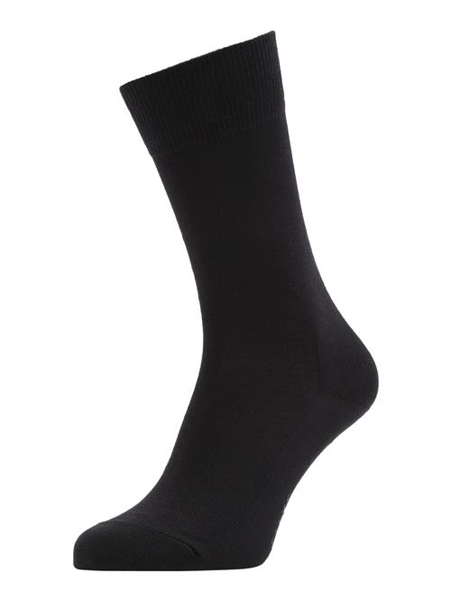 FALKE Sokker  natblå