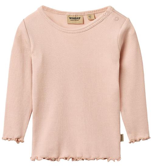 Wheat T-shirt - Rib - Ida - Powder