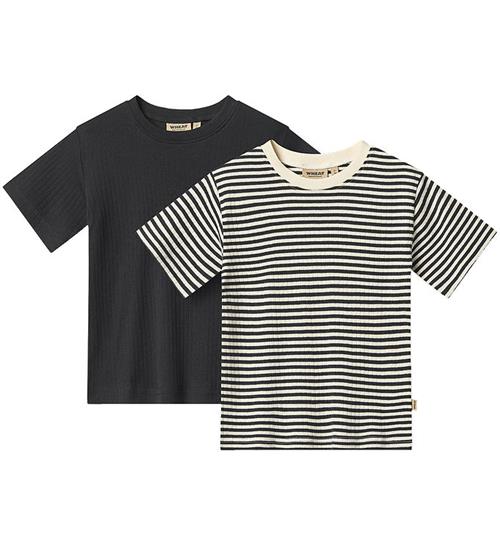 Wheat T-shirt - 2-pak - Fabian - Navy Rib Stripe