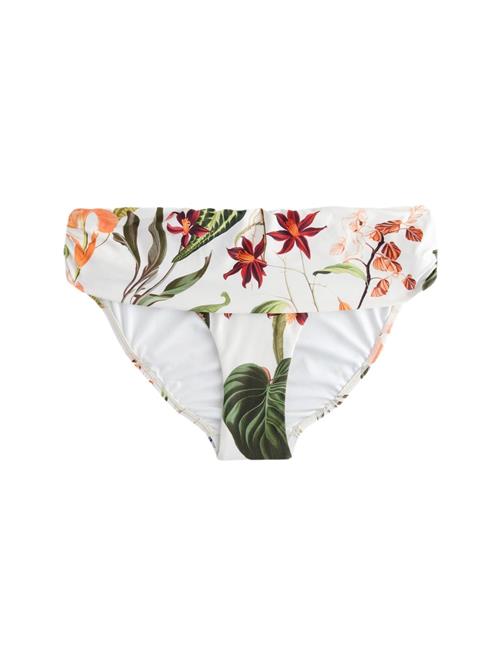 Next Bikinitrusse  gran / græsgrøn / bordeaux / hvid