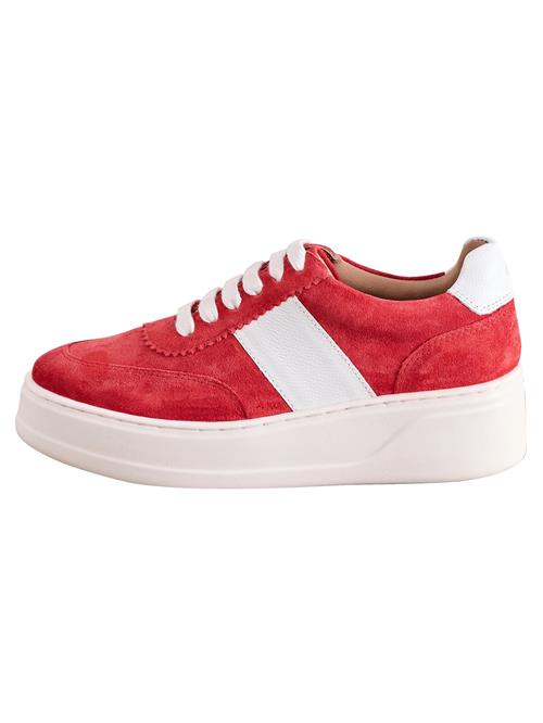 Next Sneaker low  rød / hvid