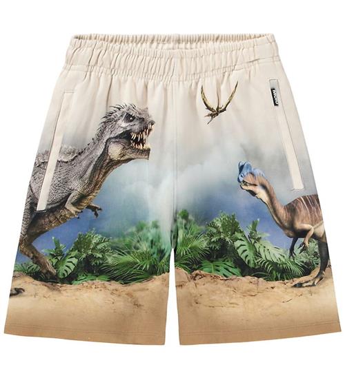 Molo Sweatshorts - Amil - Hot Spring Dinos