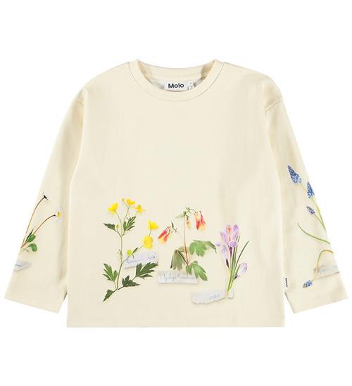 Molo Sweatshirt - Mountoo - Flora Collector