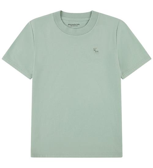 Abercrombie & Fitch T-shirt - Silt Green