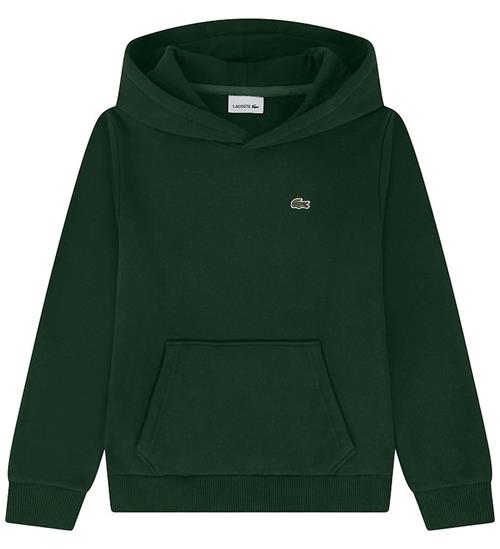Lacoste Hættetrøje - Vert