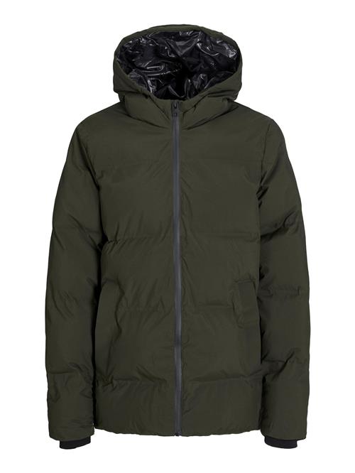 Jack & Jones Junior Vinterjakke  grøn