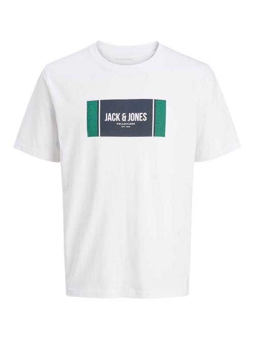 JACK & JONES Bluser & t-shirts 'JJHayato'  navy / smaragd / hvid