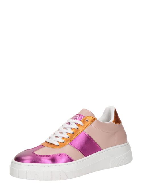 STEVE MADDEN Sneaker low 'Callie'  orange / fuchsia / gammelrosa