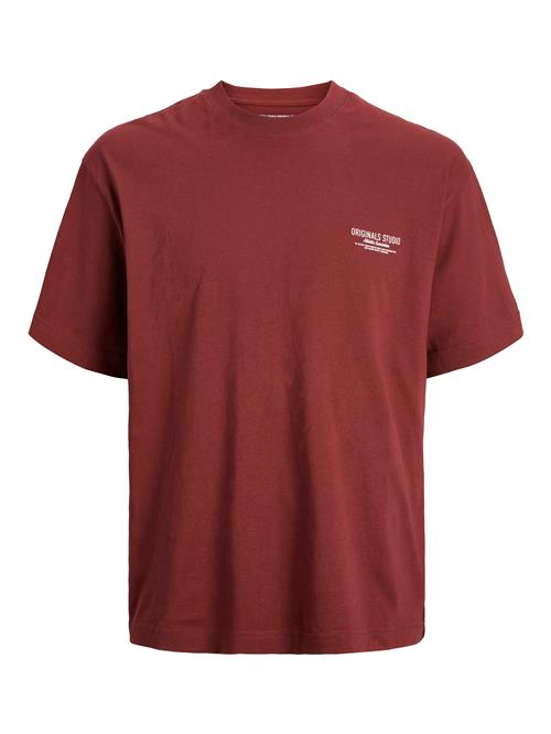 JACK & JONES Bluser & t-shirts 'JORCAMBRIDGE'  bordeaux / hvid