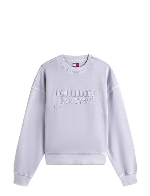 Tommy Jeans | Tjw Bxy Gmd Script Crew | M