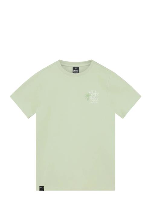 Indian Blue Jeans | T-Shirt Chest And Backprint | 152