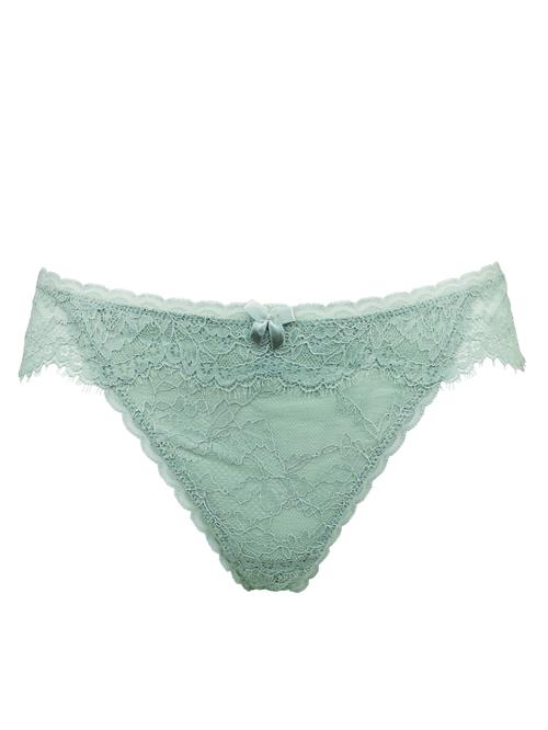 SugarShape String  mint